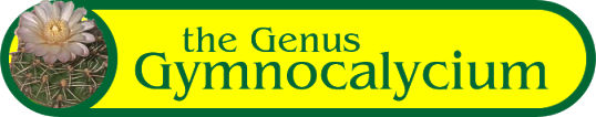 the genus Gymnocalycium